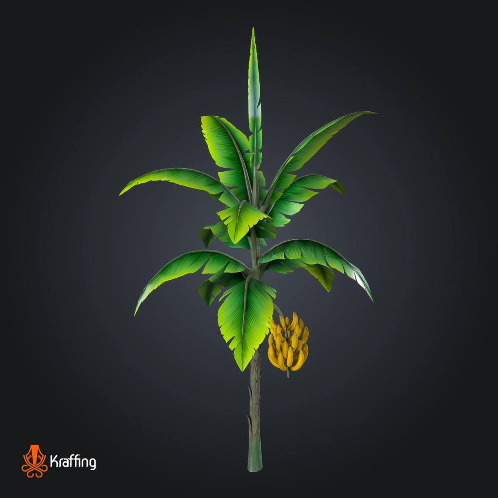 Banana Tree V1 stylized low poly 3D model for Unity and Unreal Engine